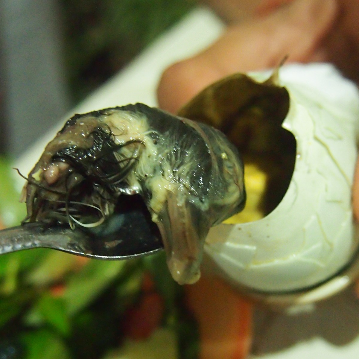 Unborn duck – delicacy in Cambodia