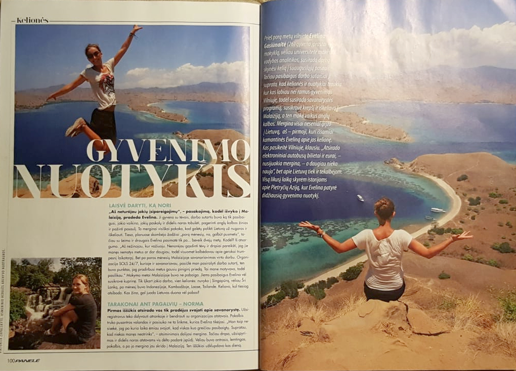 Article in a magazine