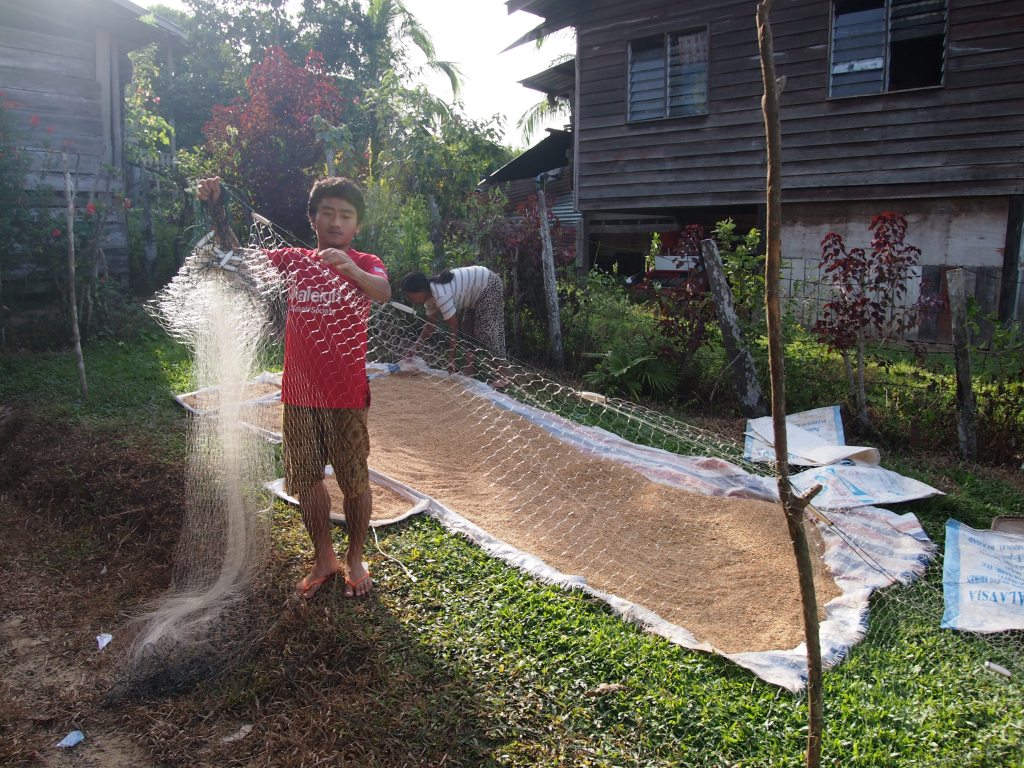 TG is preparing for fishing while his mother is taking care of rice